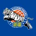 新疆伊力王酒的logo