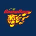 广东东莞大益的logo