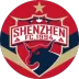 深圳队的logo