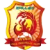 武汉队的logo