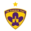 马里博尔的队标logo