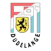 迪德朗日F91的logo
