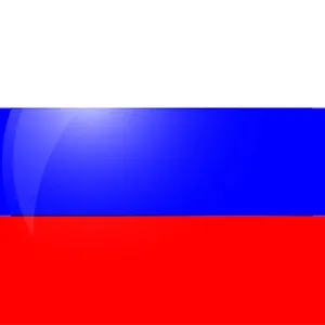 俄罗斯的队标logo